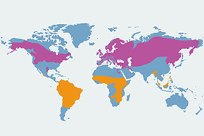 Brzegówka (zwyczajna) – mapa występowania na świecie