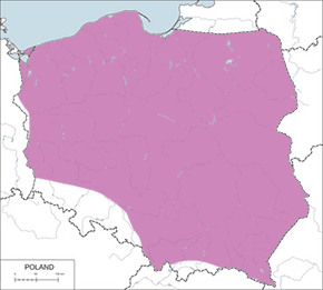 Brzegówka (zwyczajna) – mapa występowania w Polsce