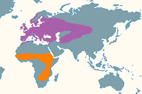 Cierniówka - mapa występowania na świecie