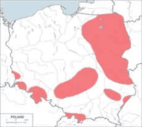 Cietrzew (zwyczajny) - mapa występowania w Polsce