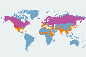 Cyraneczka - mapa występowania na świecie