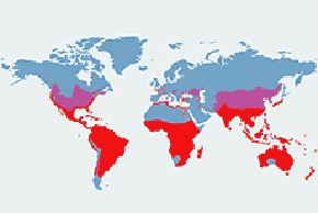Czapla biała - mapa występowania na świecie