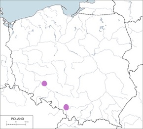 Czapla purpurowa - mapa występowania w Polsce