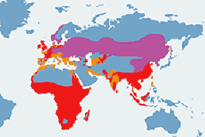 Czapla siwa - mapa występowania na świecie