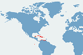 Czerwonak – mapa występowania na świecie