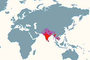 Dławigad indyjski - mapa występowania na świecie
