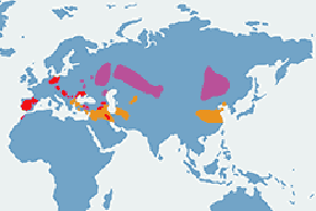 Drop (zwyczajny) - mapa występowania na świecie