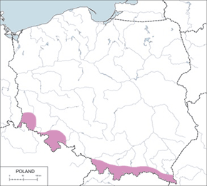 Drozd obrożny – mapa występowania w Polsce