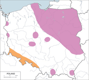 Droździk - mapa występowania w Polsce