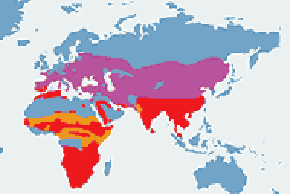Dudek - mapa występowania na świecie
