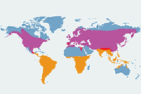 Dymówka - mapa występowania na świecie