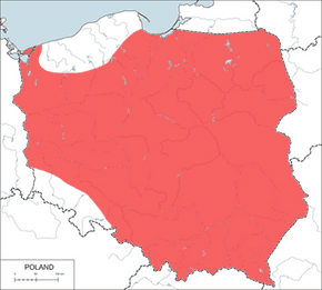 Dzięcioł średni – mapa występowania w Polsce