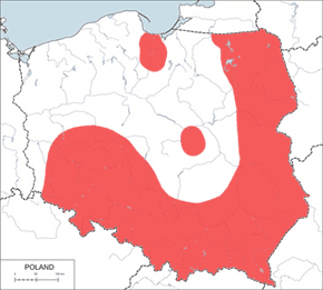 Dzięcioł zielonosiwy - mapa występowania w Polsce