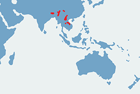 Gębal długosterny – mapa występowania na świecie