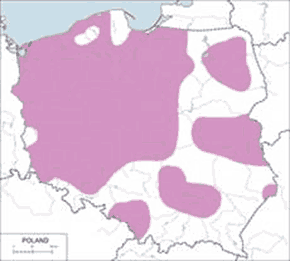 Gęgawa - mapa występowania w Polsce