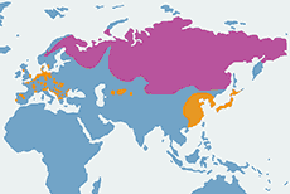 Gęś zbożowa – mapa występowania na świecie