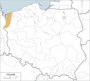 Gęś zbożowa - mapa występowania w Polsce