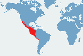 Głuptak niebieskonogi – mapa występowania na świecie