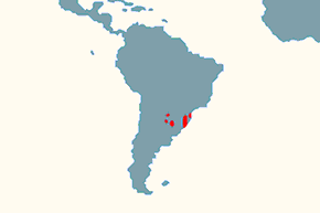 Grdacz czarnoczelny - mapa występowania na świecie