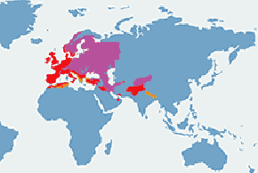 Grzywacz - mapa występowania na świecie