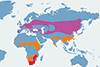 Bocian czarny - mapa