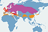 Czajka (zwyczajna) - mapa