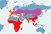 Czapla siwa - mapa