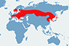 Dzięcioł zielonosiwy - mapa