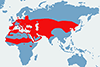 Dzierlatka (zwyczajna) - mapa