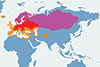 Kwiczoł - mapa