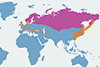 Nur czarnoszyi - mapa