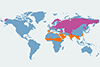 Podróżniczek - mapa