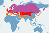 Potrzos (zwyczajny) - mapa