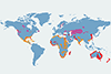 Rybitwa wielkodzioba - mapa