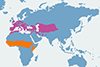 Słowik rdzawy - mapa