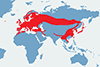 Sójka (zwyczajna) - mapa