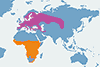 Trzmielojad - mapa