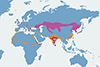 Warzęcha, warzęcha zwyczajna - mapa