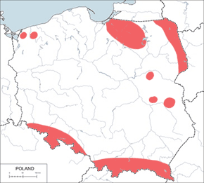 Jarząbek (zwyczajny) - mapa występowania w Polsce
