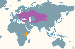 Jarzębatka - mapa występowania na świecie