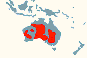 Kakadu ognistoczuba, kakadu inka - mapa występowania na świecie