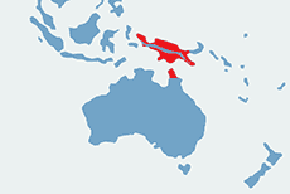 Kakadu palmowa, żałobnica palmowa - mapa występowania na świecie