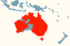 Kakadu różowa – mapa występowania na świecie