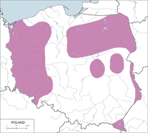 Kania czarna - mapa występowania w Polsce