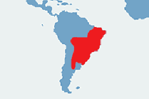 Kariama czerwononoga – mapa występowania na świecie