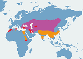 Kazarka rdzawa - mapa występowania na świecie