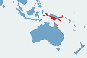 Kazuar hełmiasty - mapa występowania na świecie