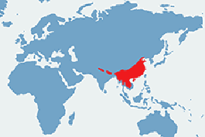 Kitta czerwonodzioba – mapa występowania na świecie