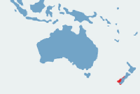 Kiwi brunatny, kiwi południowy – mapa występowania na świecie