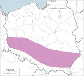 Kląskawka afrykańska - mapa występowania w Polsce